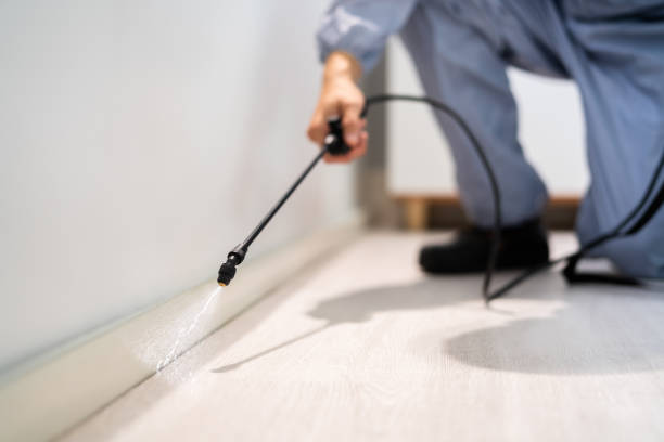 Licensed Termite Control service in Glassmanor, MD - Nex Pest Control