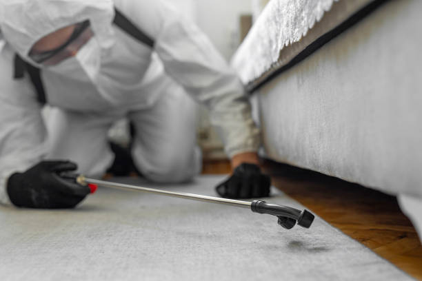 Professional Termite Control technician working in Glassmanor, MD