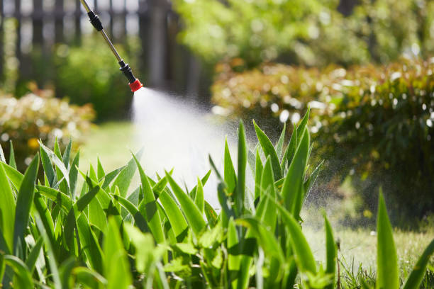 24/7 Emergency Termite Control experts in Glassmanor, MD