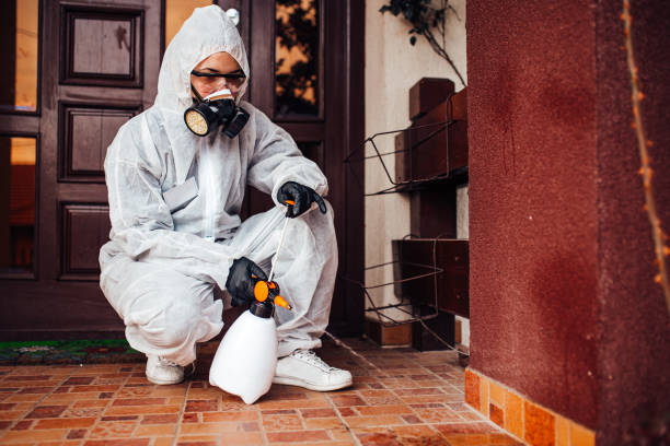Reliable Termite Control contractor in Glassmanor, MD by Nex Pest Control