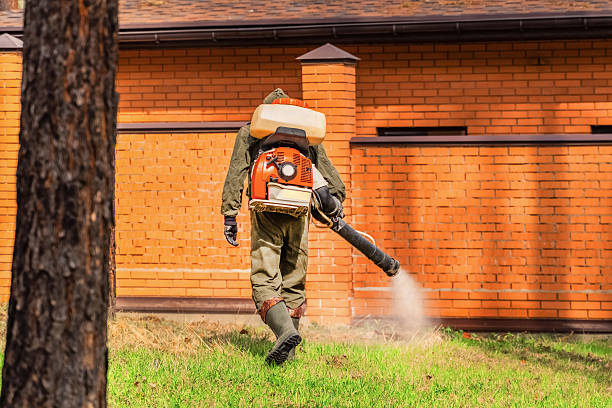 Top rated local Termite Control specialists in Glassmanor, MD